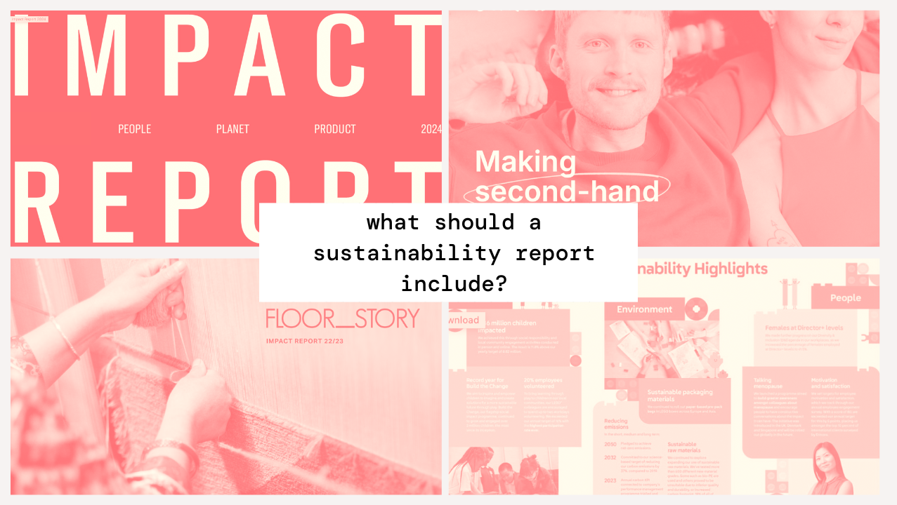 what should a sustainability report include