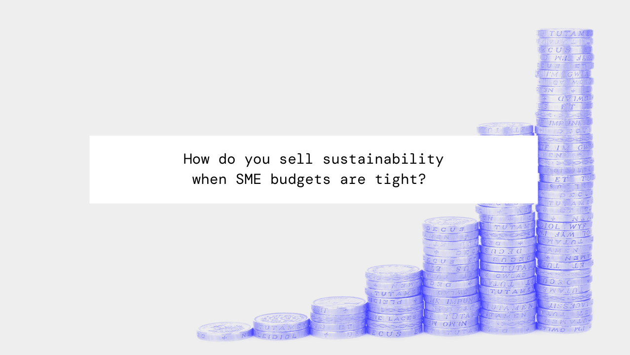SME sustainability